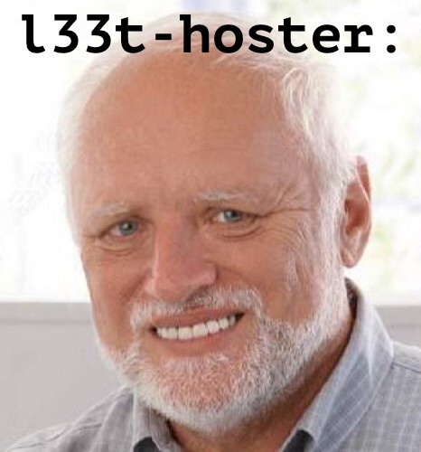 Web task l33t-hoster